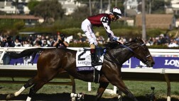 赛事转播权销售